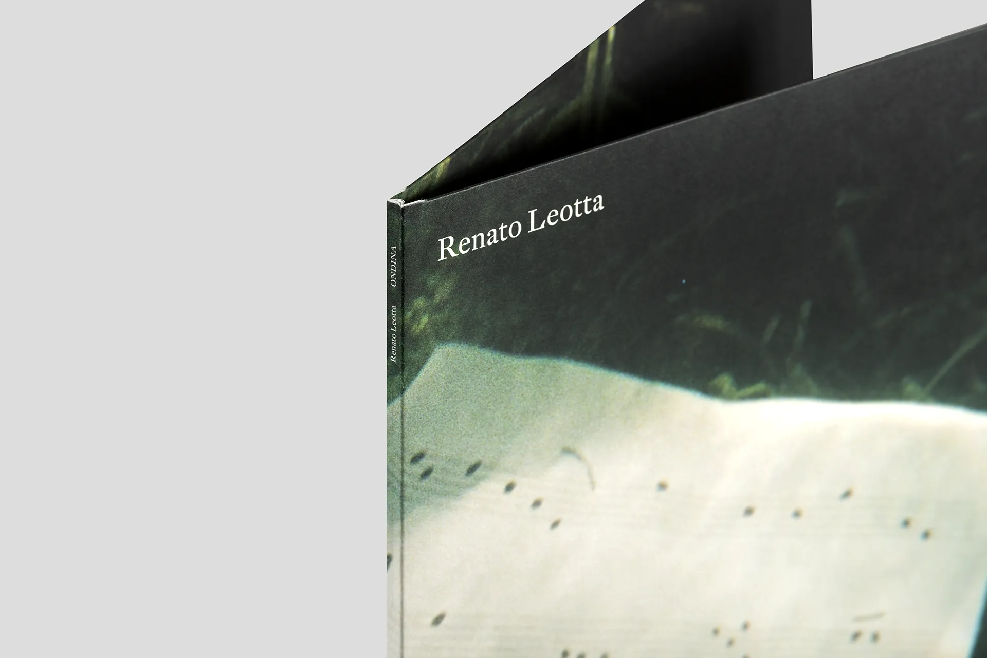 renato leotta ondina